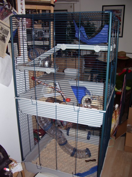 Furet Tower mit Robyn und Elric