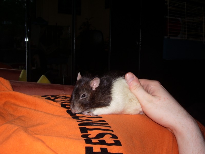 Pogo auf Papas Bauch