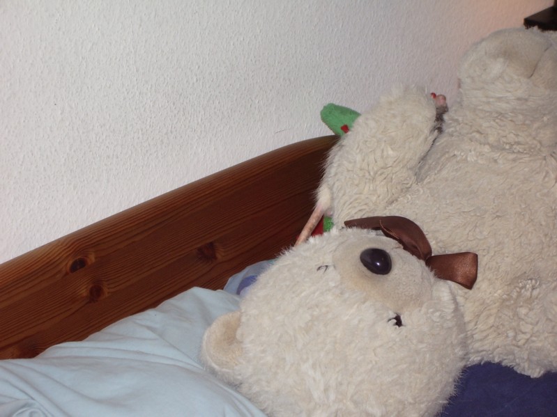 Hinter dem Teddy ist eine Ratte, ganz sicher
