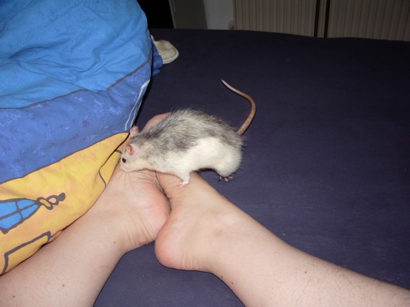 Ron-Ni und die Füße