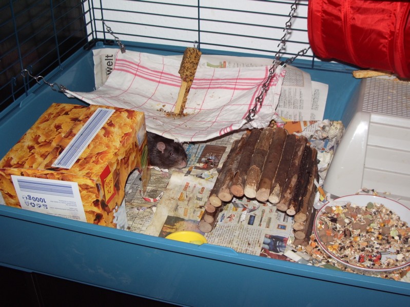 Pogos Seniorenresidenz